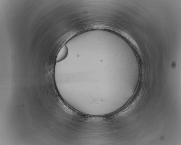 X0000094060801200711161523