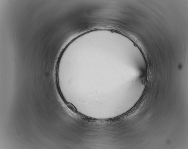 X0000094060803200711161523