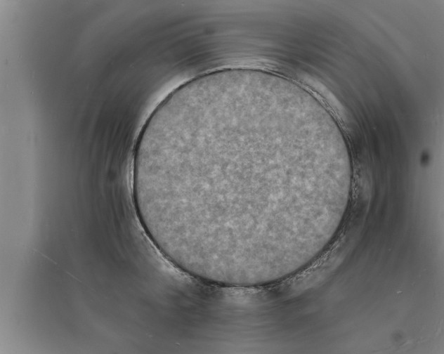 X0000094060804200711161523