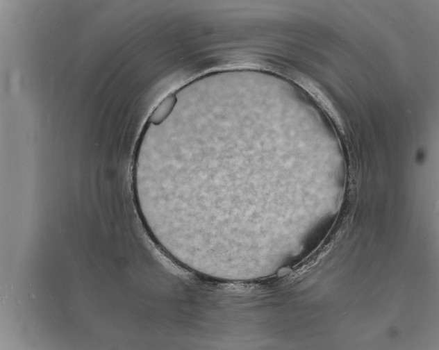 X0000094060805200711161523