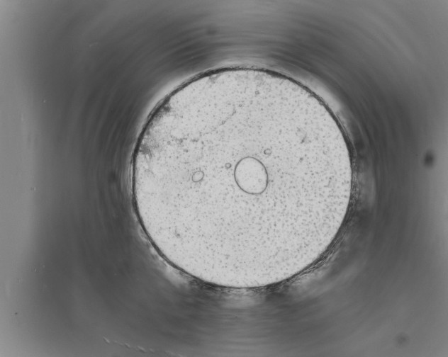 X0000094060807200711161523