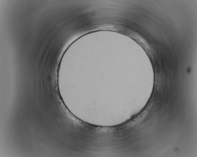 X0000094060808200711161523