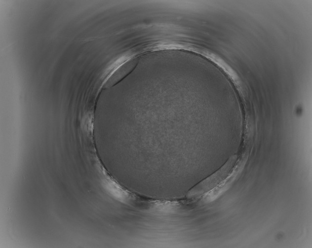 X0000094060809200711161523