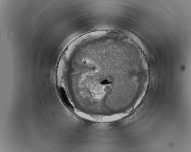 X0000094060810200711161523