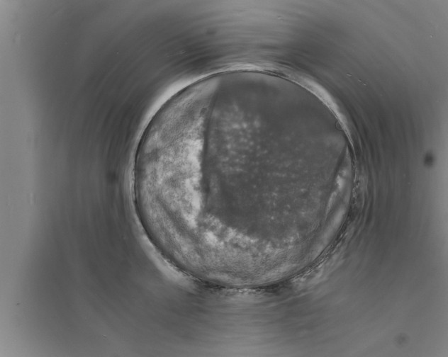 X0000094060811200711161523