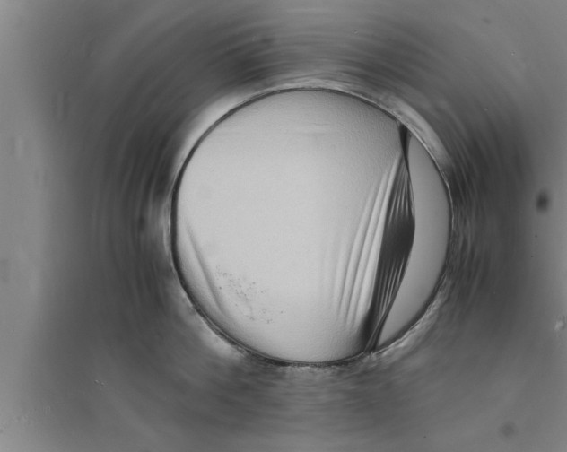 X0000094060812200711161523