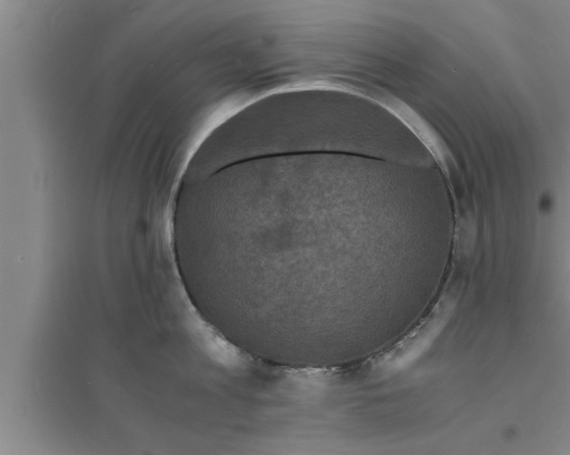 X0000094060813200711161523