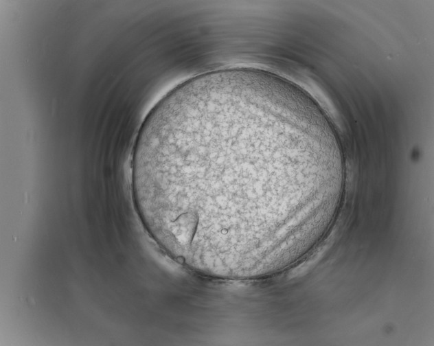 X0000094060814200711161523