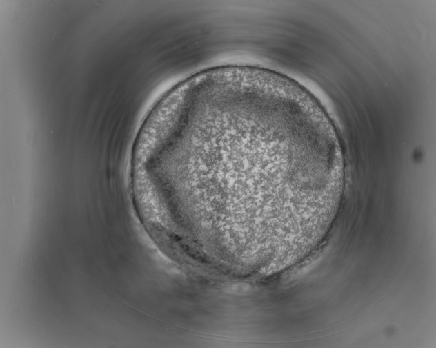 X0000094060815200711161523