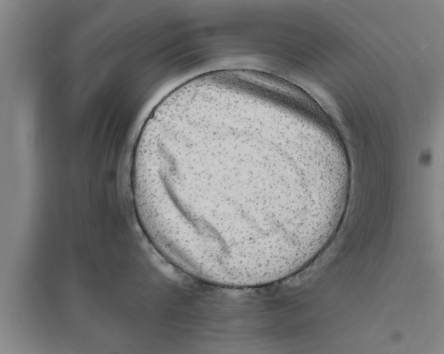 X0000094060816200711161523