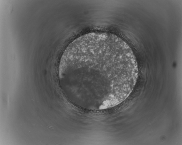 X0000094060817200711161522