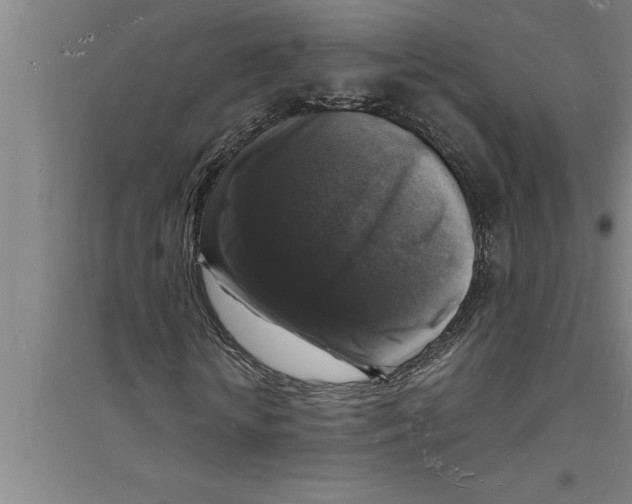 X0000094060818200711161522