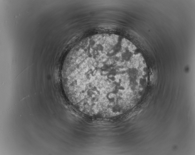 X0000094060819200711161522