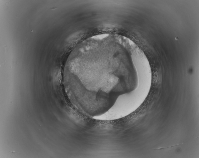 X0000094060820200711161522