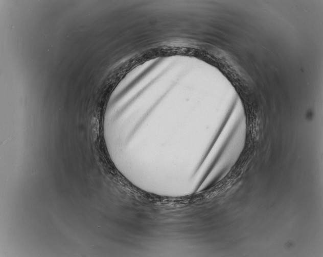 X0000094060821200711161522