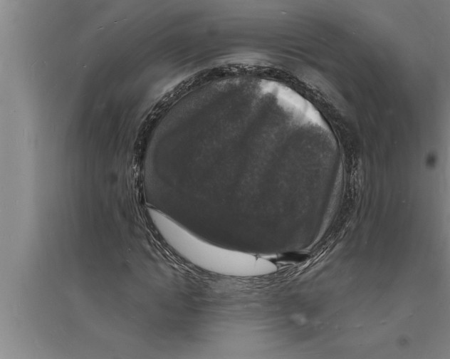 X0000094060822200711161522