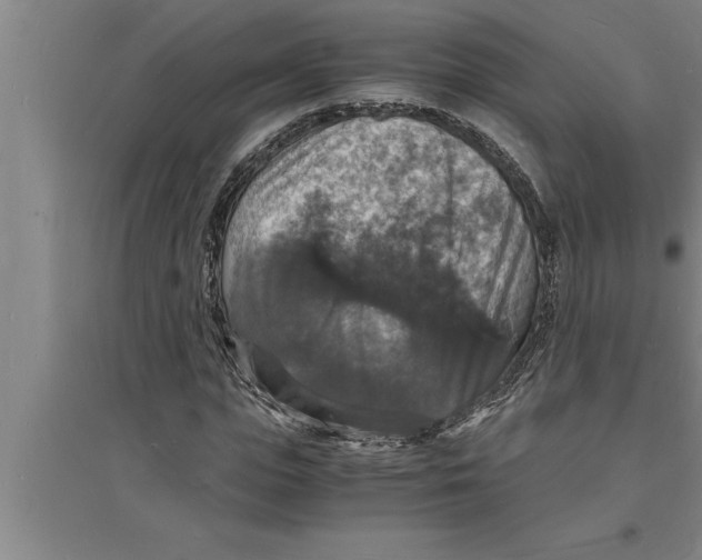 X0000094060823200711161522