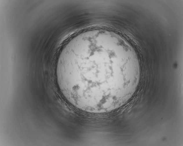 X0000094060824200711161522