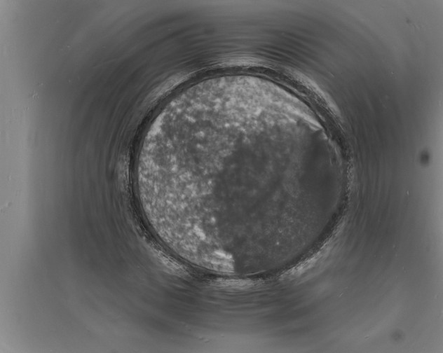 X0000094060825200711161522