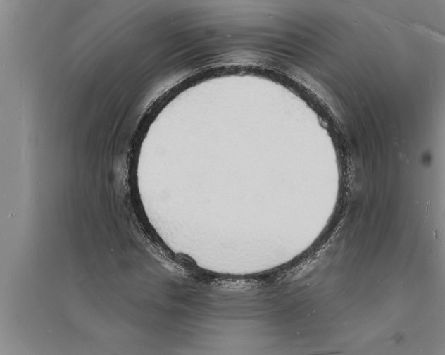 X0000094060826200711161522