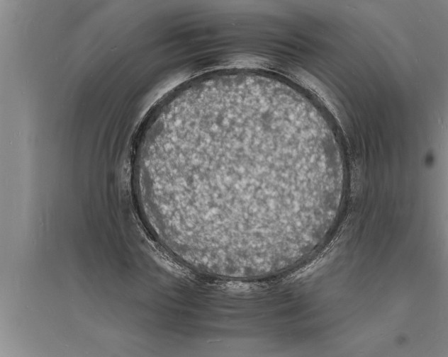 X0000094060827200711161522