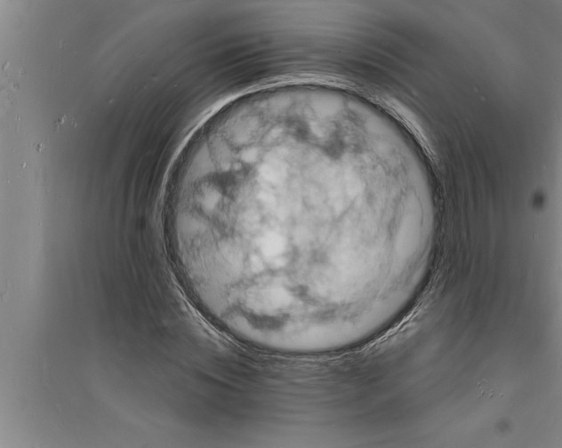 X0000094060828200711161522