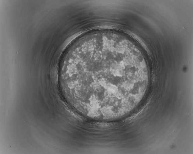 X0000094060829200711161522