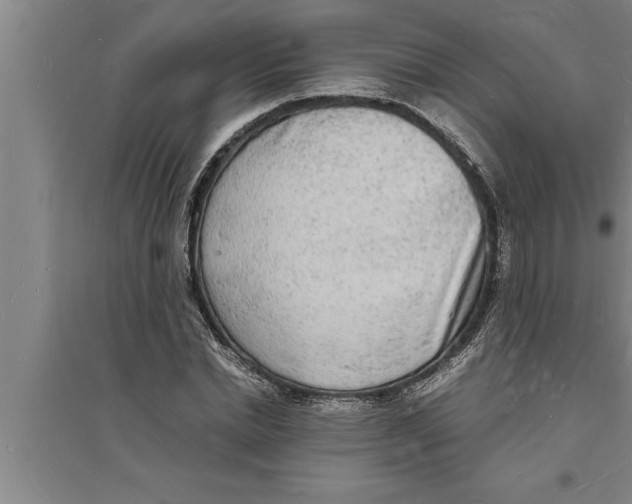 X0000094060830200711161522