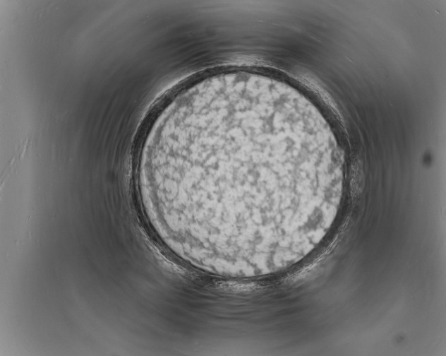 X0000094060831200711161522