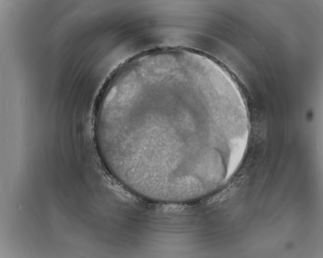 X0000094060832200711161522