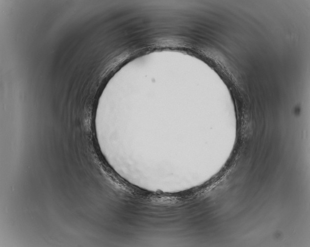 X0000094060833200711161522