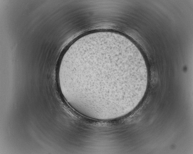 X0000094060834200711161522