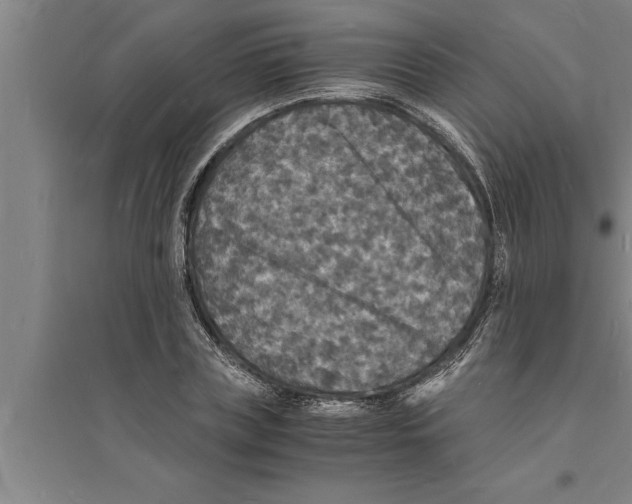 X0000094060835200711161522