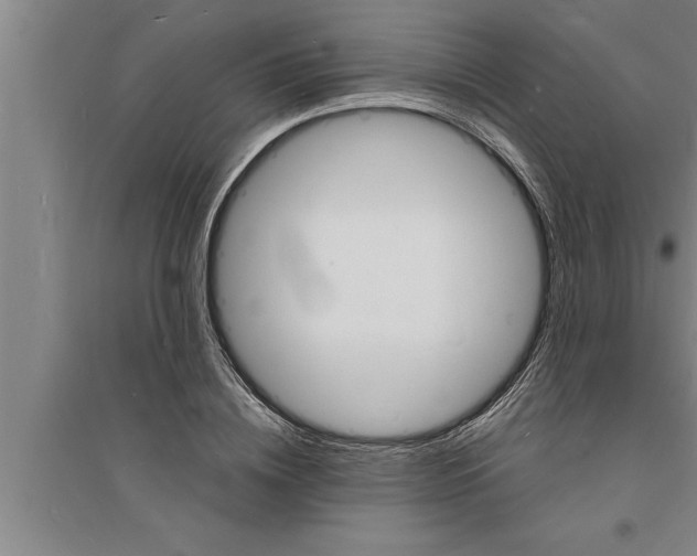 X0000094060836200711161522