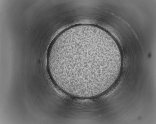 X0000094060837200711161522