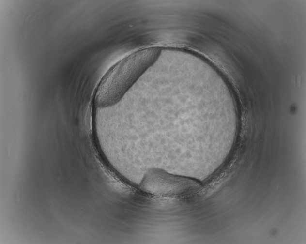 X0000094060838200711161522