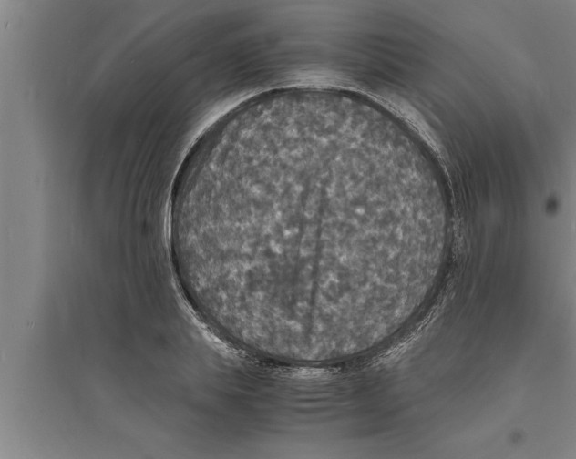 X0000094060839200711161522