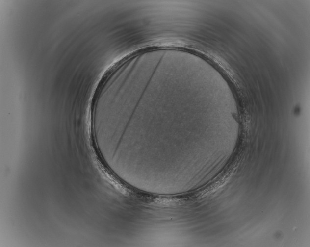 X0000094060840200711161522