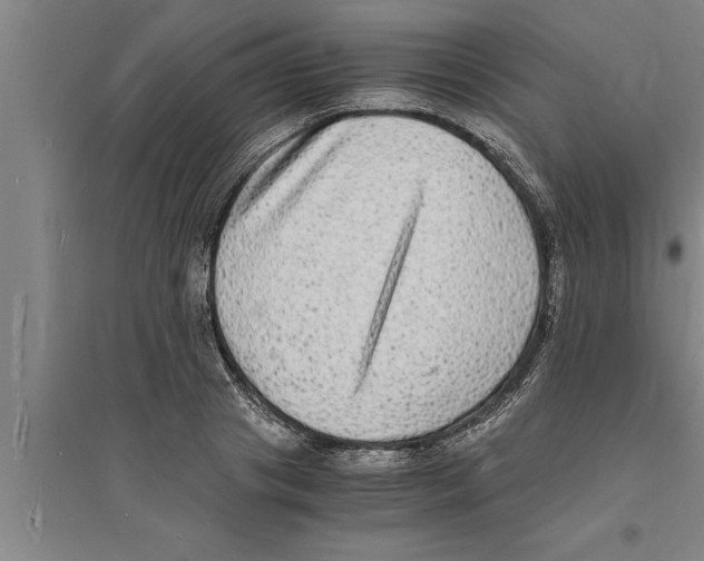 X0000094060841200711161522