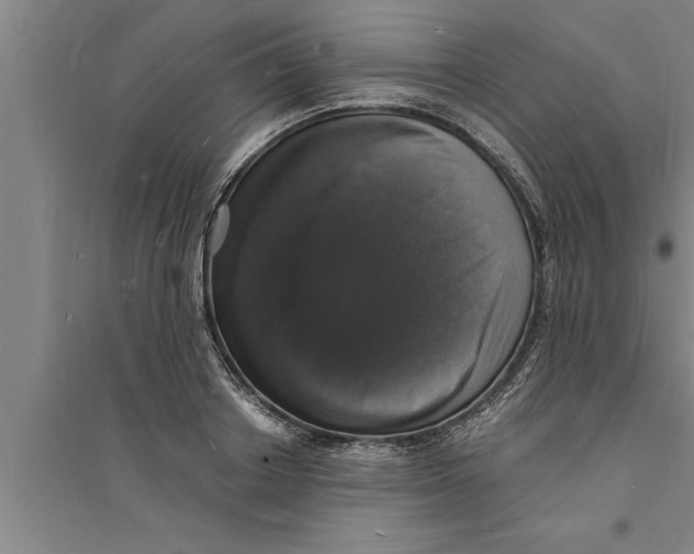 X0000094060842200711161522