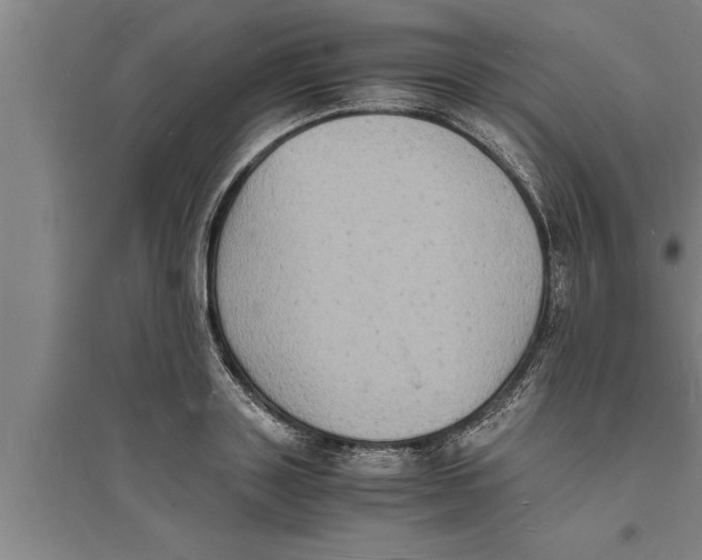 X0000094060843200711161522