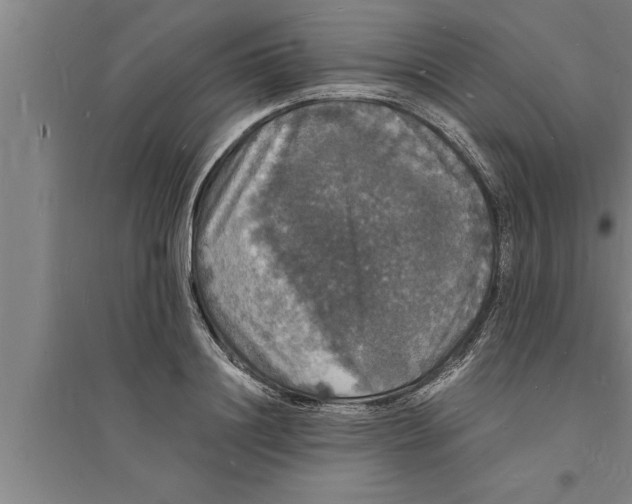 X0000094060844200711161522