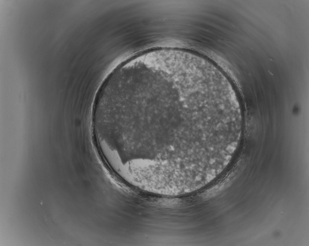 X0000094060845200711161522