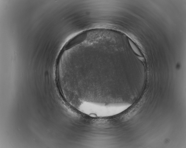 X0000094060846200711161522