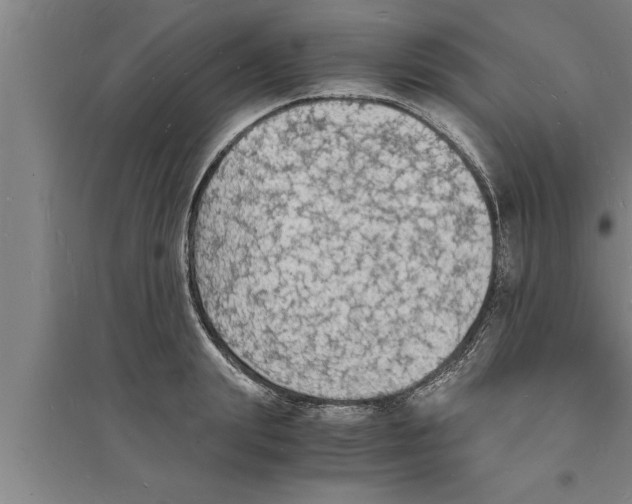 X0000094060847200711161522