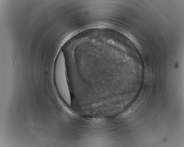 X0000094060850200711161522