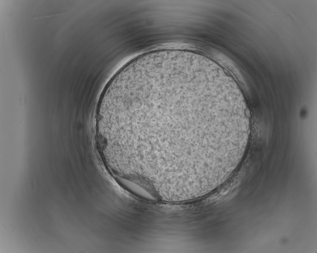 X0000094060852200711161523