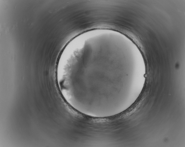 X0000094060853200711161523