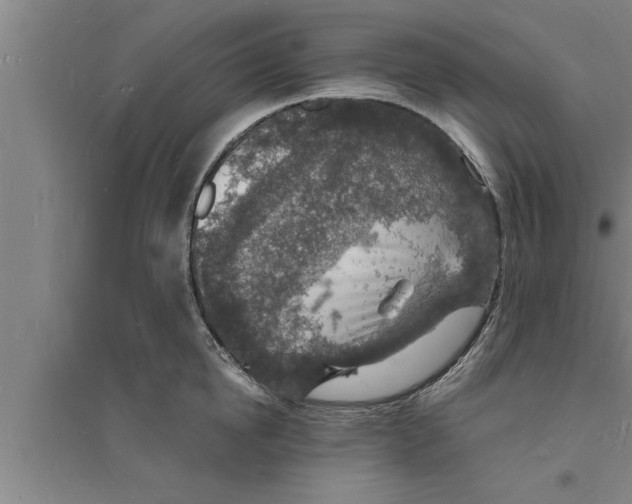 X0000094060854200711161523