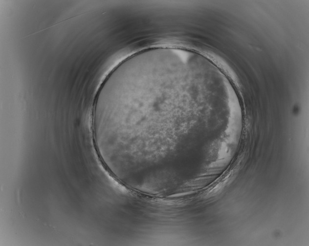 X0000094060855200711161523